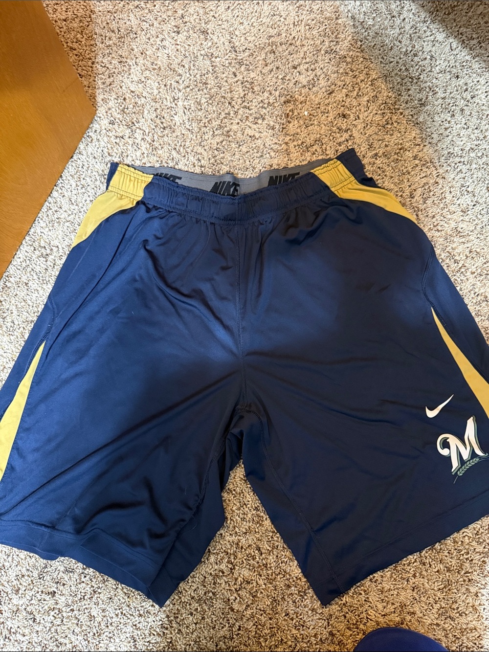 Nike Navy and Yellow Athletic Shorts with Team Logo